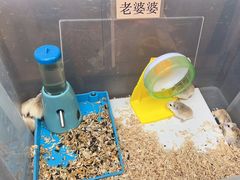 -宠爱我(南山店)