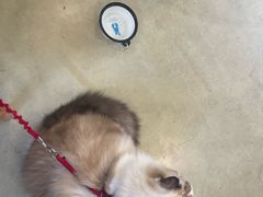 -小意思咖啡店(草桥店)