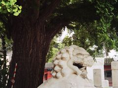 -北京石刻艺术博物馆(五塔寺)