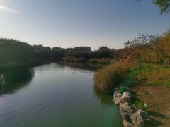 -大兴滨河森林公园