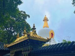 -护国法轮寺