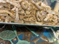 -仙螺岛海鲜自助餐厅(总店)