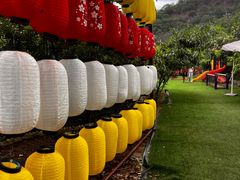 -桃源山庄·水蜜桃采摘·柴火鸡·烧烤团建(龙泉山店)