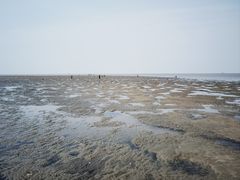 -辽宁团山国家级海洋公园