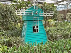 -南宫五洲植物乐园