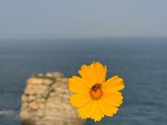 -棒棰岛宾馆景区