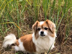 -红山国家森林公园