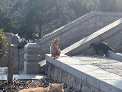 -四门塔风景区