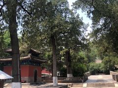 -北京鹫峰国家森林公园