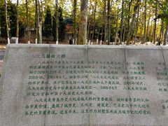 -八大关景区