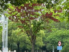 -苏州吴中太湖旅游区