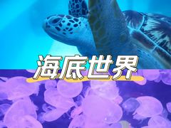 -南京海底世界