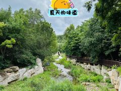 -金龙寺国家森林公园