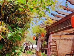 -慢丽江·云南野生菌土鸡锅(付家庄店)