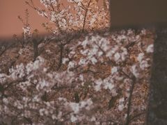 -龙美术馆(西岸馆)
