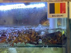 水产区-桥东喜碧海鲜街(水东街店)