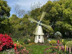 -上海共青森林公园