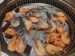 -比尔森韩式烤肉自助(绿园店)