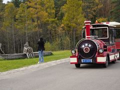 -五营红松林海景区