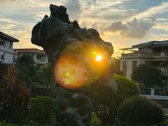 -顺峰山公园
