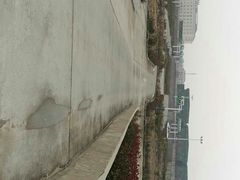 -安飞驰驾校·学车连锁(金高店)