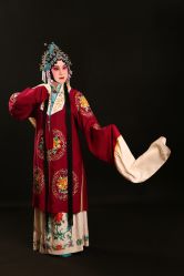 -胭脂猫京剧摄影