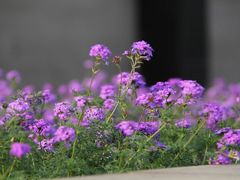 -辽宁大学(崇山校区)