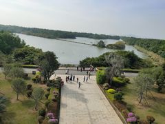 -大湾区中央湿地公园