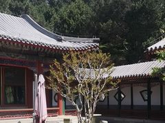 -宫事颐庭·老佛爷贵寿下午茶(颐和园店)