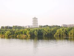 -灞河西岸滨河公园