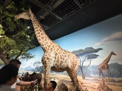 -陕西自然博物馆