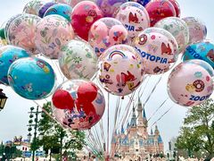 -上海迪士尼度假区