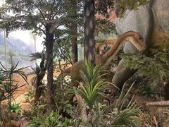 -浙江自然博物院(杭州馆)