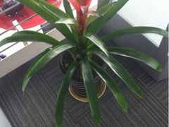 -上海星瀚奔驰4S店(红柳路店)