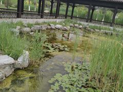 -水西公园