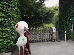 -华侨城湿地公园