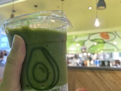 -油梨树AVOCADO TREE(望京店)