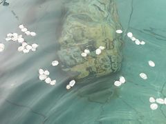 -苏州湾王焰温泉度假酒店