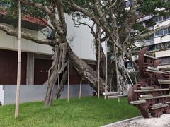 -中国船政文化博物馆