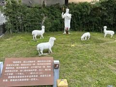 -圣心大教堂