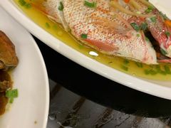 -三凤酒家·百年无锡菜(清扬茂业店)