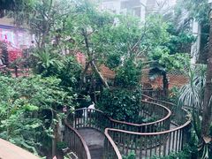 -正佳雨林生态植物园