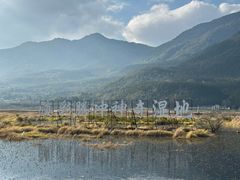 -腾冲北海湿地