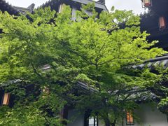 -香积寺