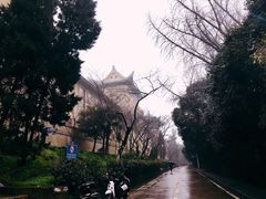 -武汉大学-樱园