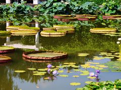 -国家植物园南园