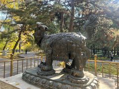 -北京动物园-畅观楼