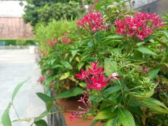 android_upload_pic-广州神农草堂中医药博物馆