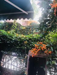 -玛莎莉莉全球旅拍