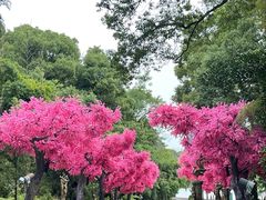 -五台山风景区